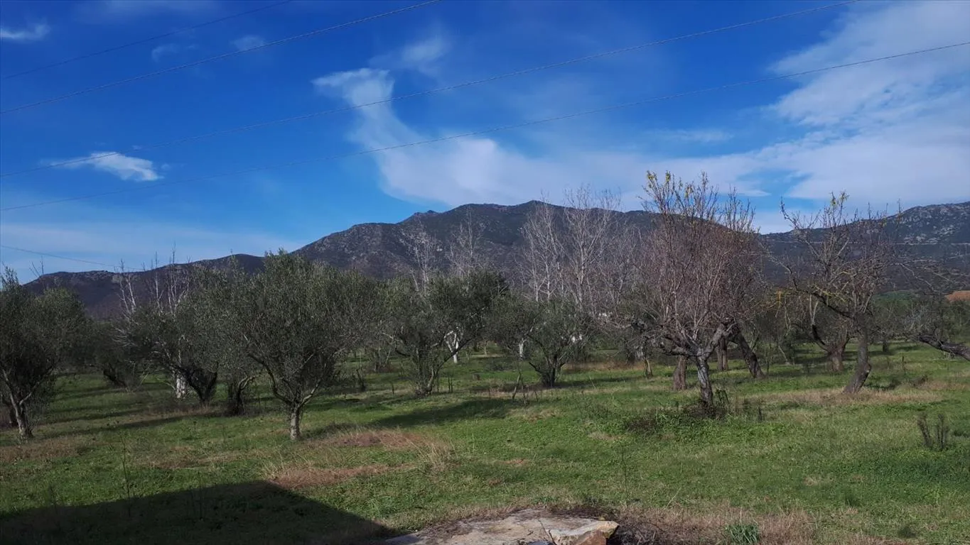οικόπεδο προς πώληση 18250 τ.μ Πολύγυρος Χαλκιδική