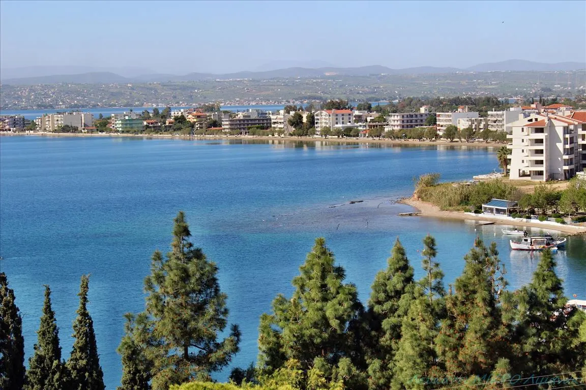 οικόπεδο προς πώληση 1026 τ.μ Ληλάντιο Εύβοια