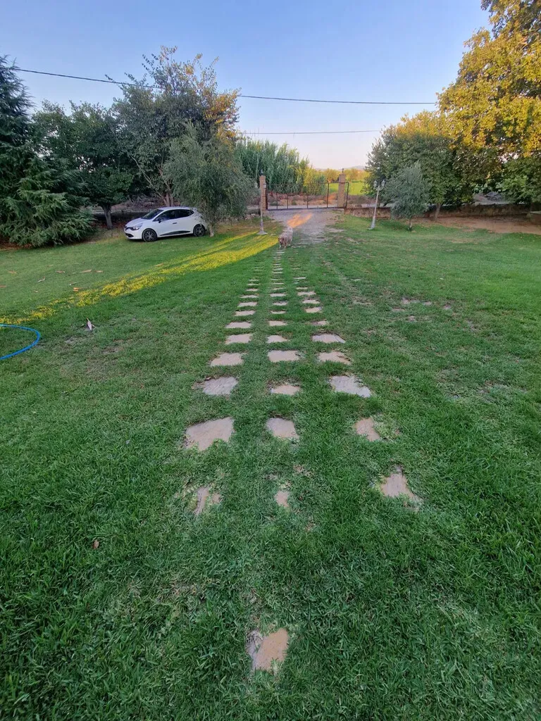 768