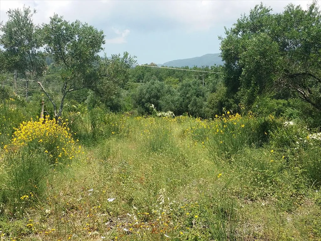 οικόπεδο προς πώληση 2770 τ.μ Κέρκυρα Νομός Κέρκυρας