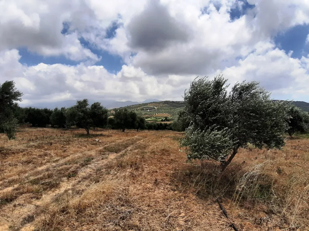 οικόπεδο προς πώληση 15000 τ.μ Αρκαλοχώρι Νομός Ηρακλείου