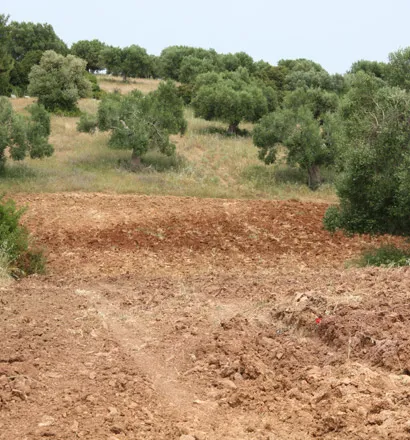 410