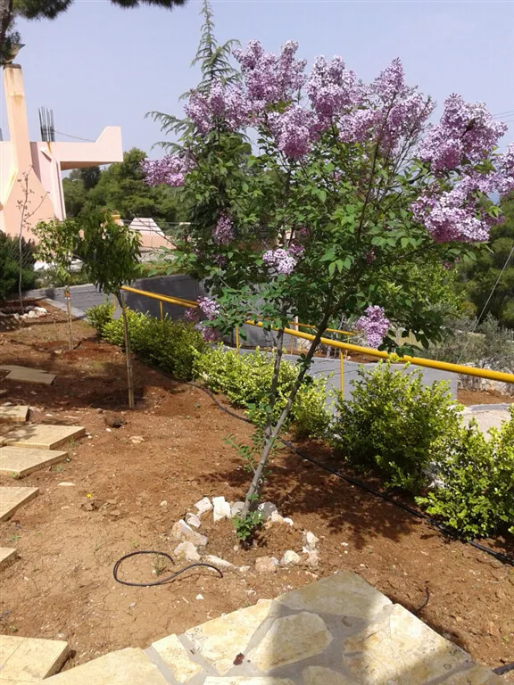 576
