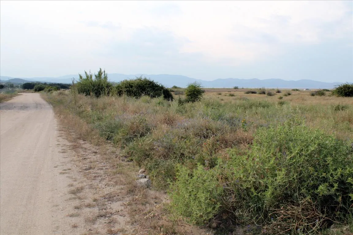 οικόπεδο προς πώληση 10550 τ.μ Αριστοτέλης Χαλκιδική