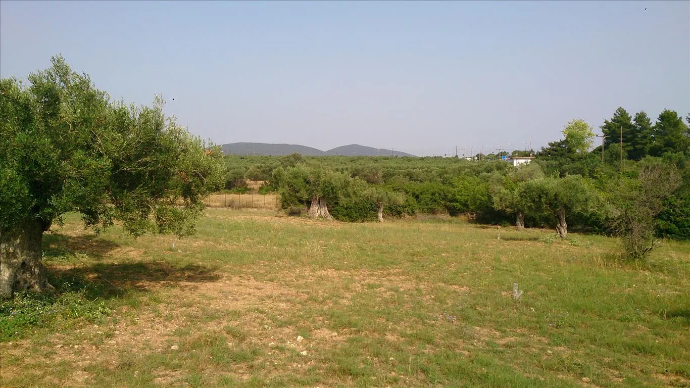 οικόπεδο προς πώληση 4589 τ.μ Σιθωνία Χαλκιδική