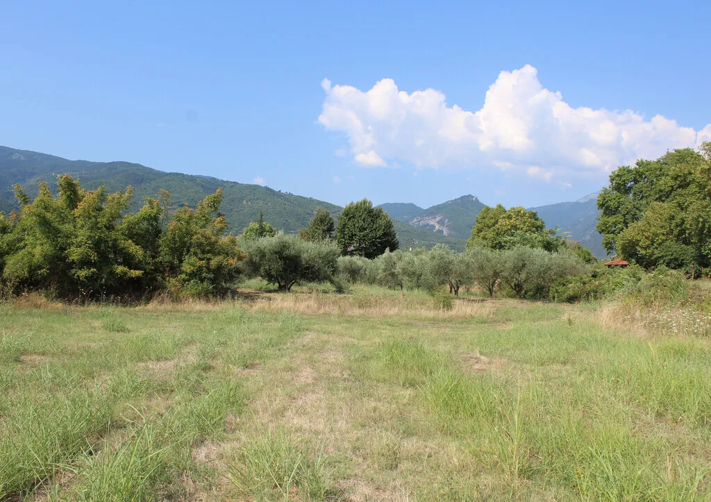 οικόπεδο προς πώληση 5755 τ.μ Ανατολικός Όλυμπος Νομός Πιερίας