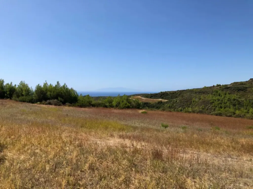 οικόπεδο προς πώληση 22902 τ.μ Κασσάνδρα Χαλκιδική