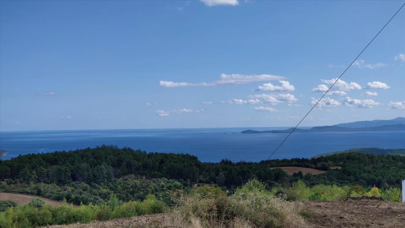 οικόπεδο προς πώληση 50000 τ.μ Αριστοτέλης Χαλκιδική