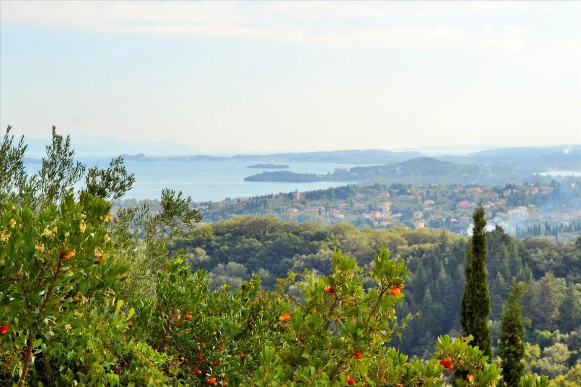 οικόπεδο προς πώληση 14530 τ.μ Κέρκυρα Νομός Κέρκυρας