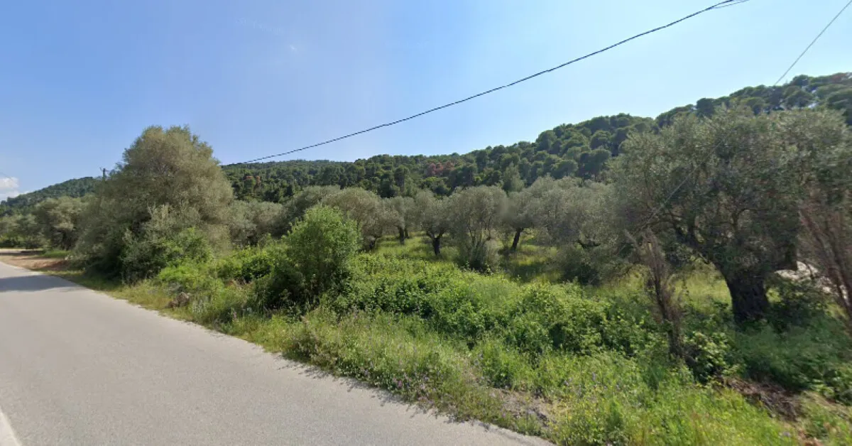 οικόπεδο προς πώληση 4100 τ.μ Σιθωνία Χαλκιδική