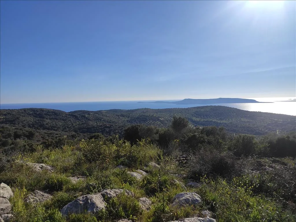 οικόπεδο προς πώληση 4500 τ.μ Κορώνη Μεσσηνία