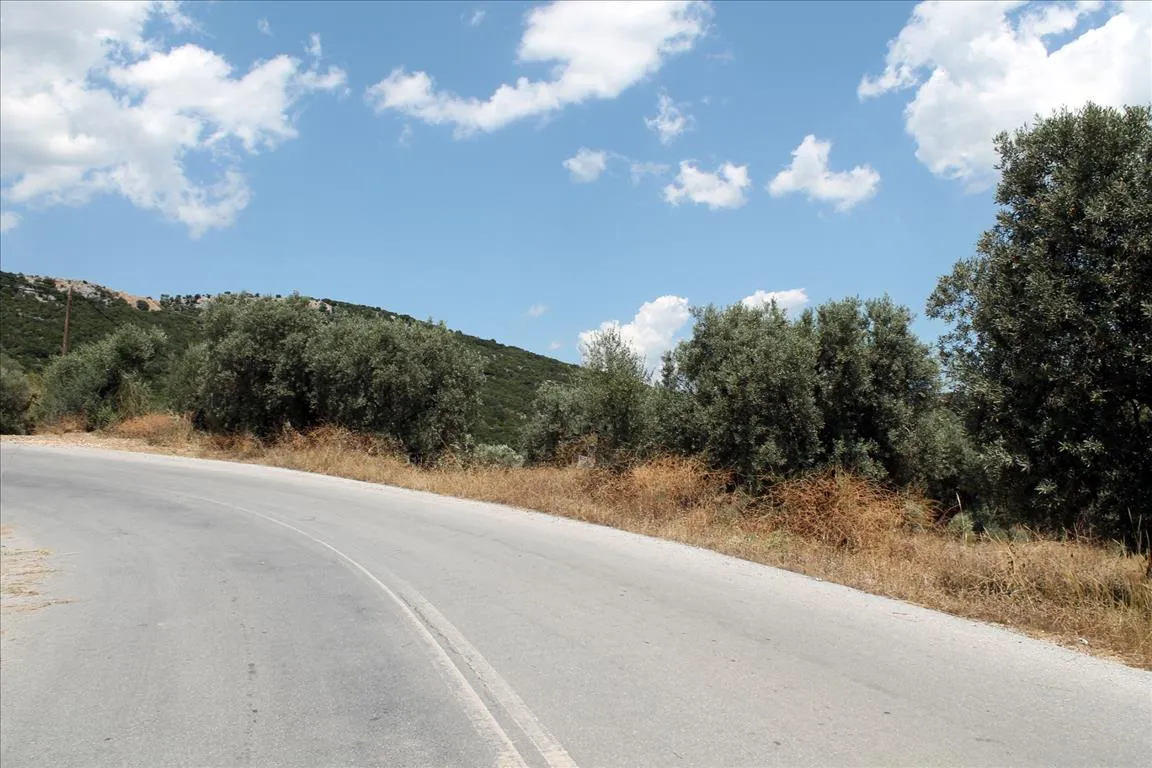 οικόπεδο προς πώληση 5568 τ.μ Αριστοτέλης Χαλκιδική
