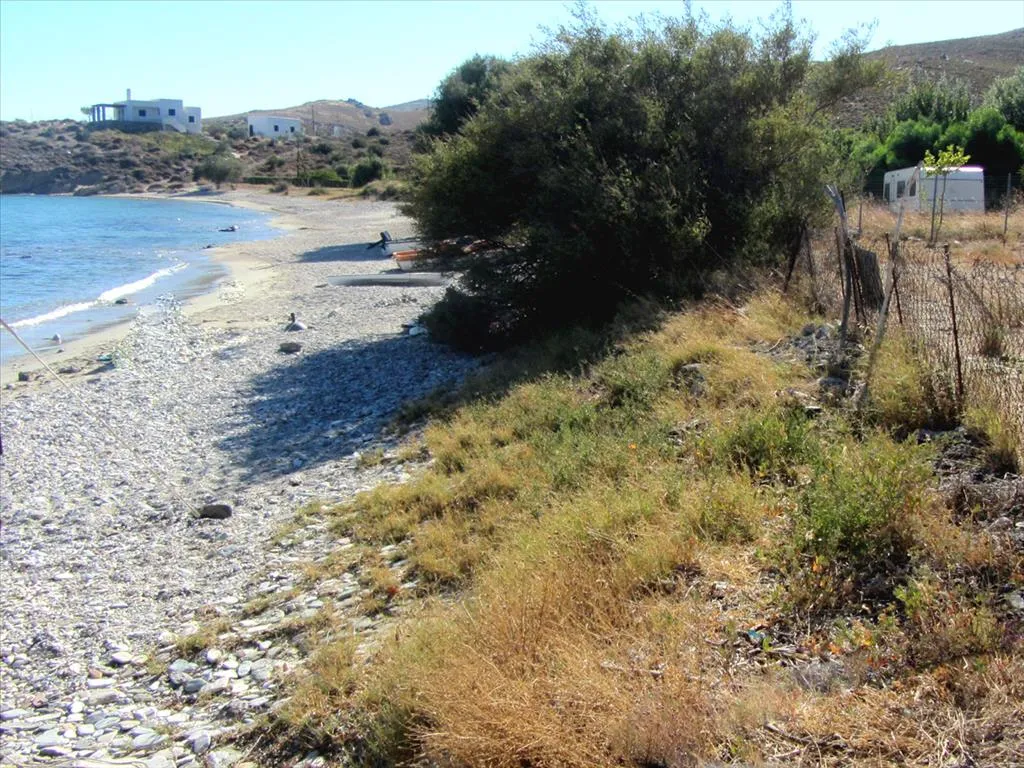 οικόπεδο προς πώληση 2000 τ.μ Κάρυστος Εύβοια