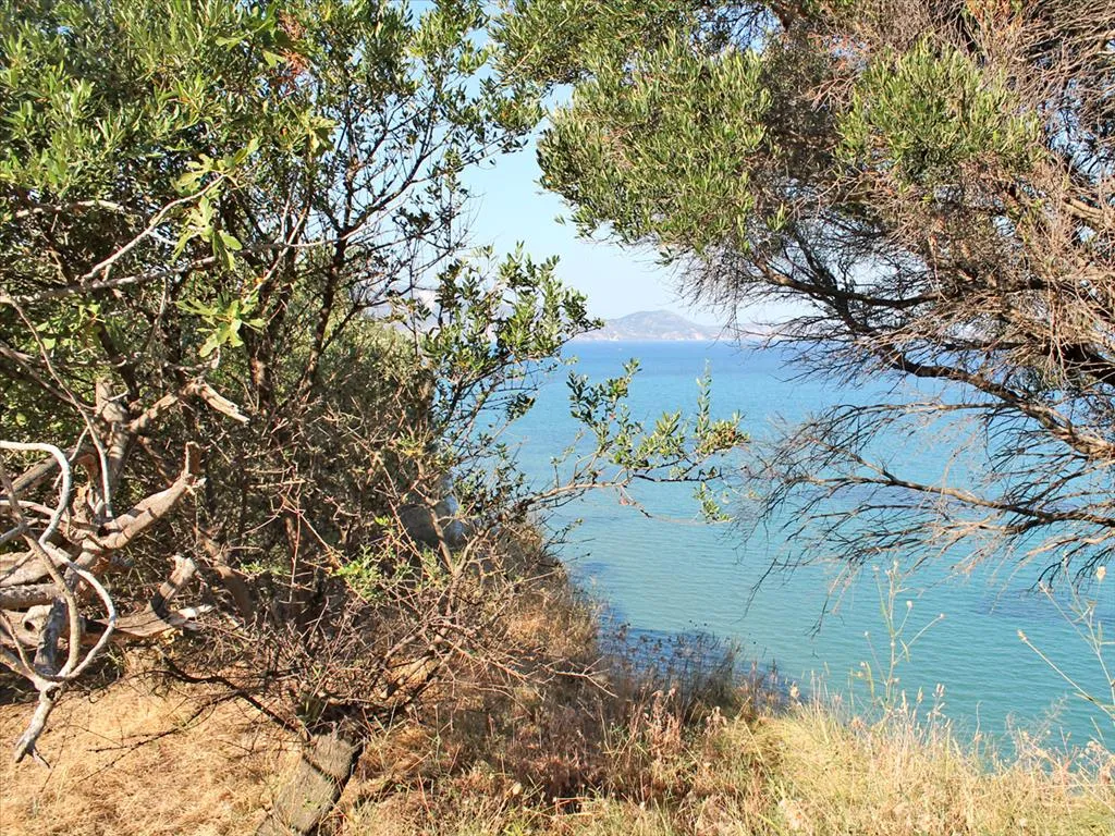 οικόπεδο προς πώληση 4500 τ.μ Λαγανάς Ζάκυνθος