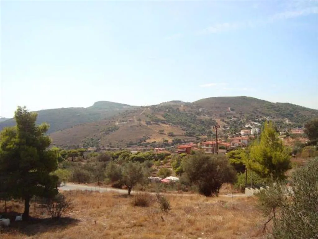 οικόπεδο προς πώληση 9780 τ.μ Καλύβια Θορικού Υπόλοιπη Αττικής