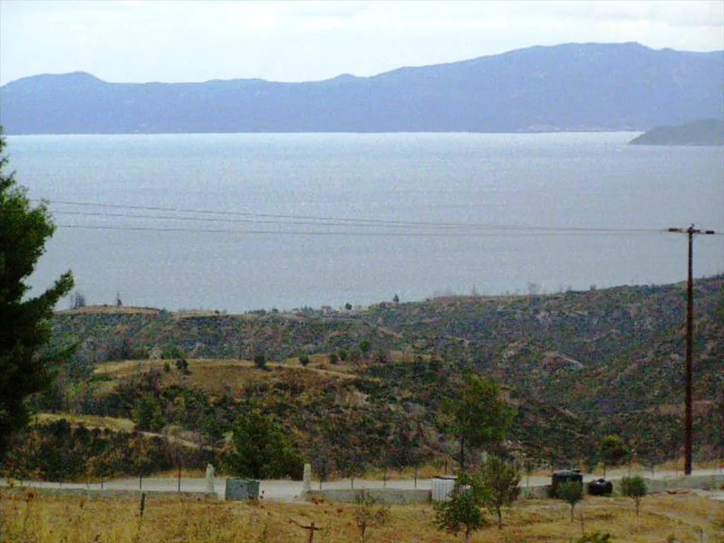 οικόπεδο προς πώληση 15000 τ.μ Κασσάνδρα Χαλκιδική