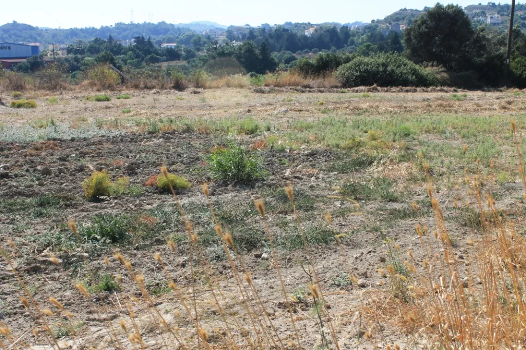 οικόπεδο προς πώληση 35260 τ.μ Ρόδος Δωδεκάνησα