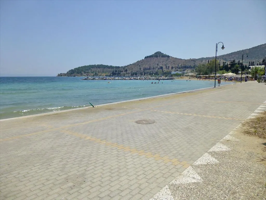οικόπεδο προς πώληση 1243 τ.μ Βόλος Μαγνησία