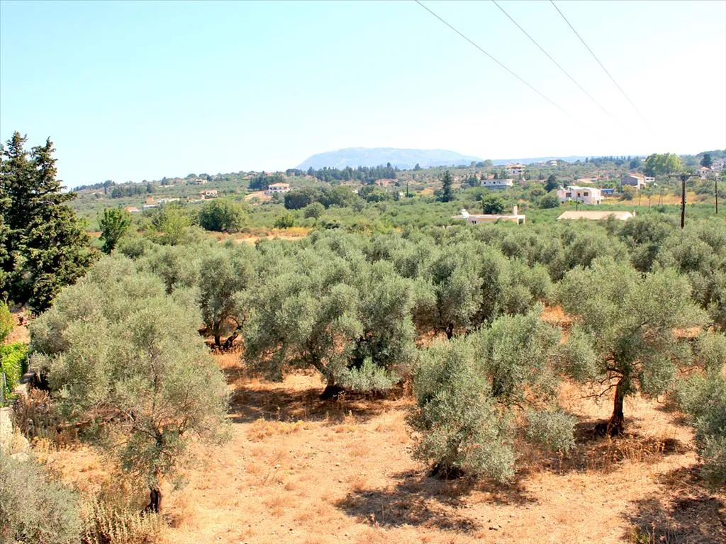 οικόπεδο προς πώληση 8243 τ.μ Βάμος Νομός Χανίων