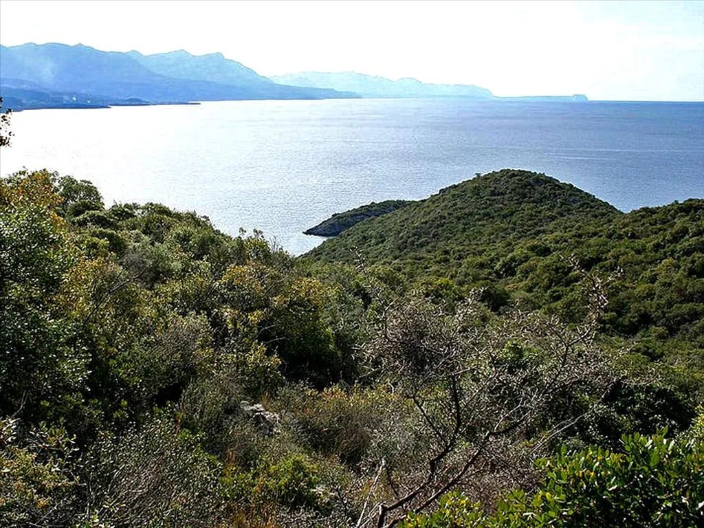 οικόπεδο προς πώληση 16200 τ.μ Καλαμάτα Μεσσηνία