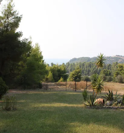 οικόπεδο προς πώληση 4000 τ.μ Κασσάνδρα Χαλκιδική