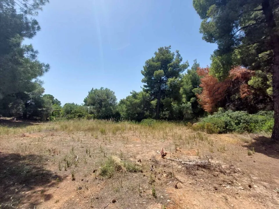 οικόπεδο προς πώληση 1140 τ.μ Σιθωνία Χαλκιδική