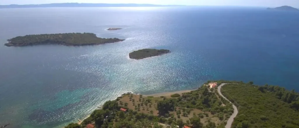 οικόπεδο προς πώληση 23000 τ.μ Σιθωνία Χαλκιδική