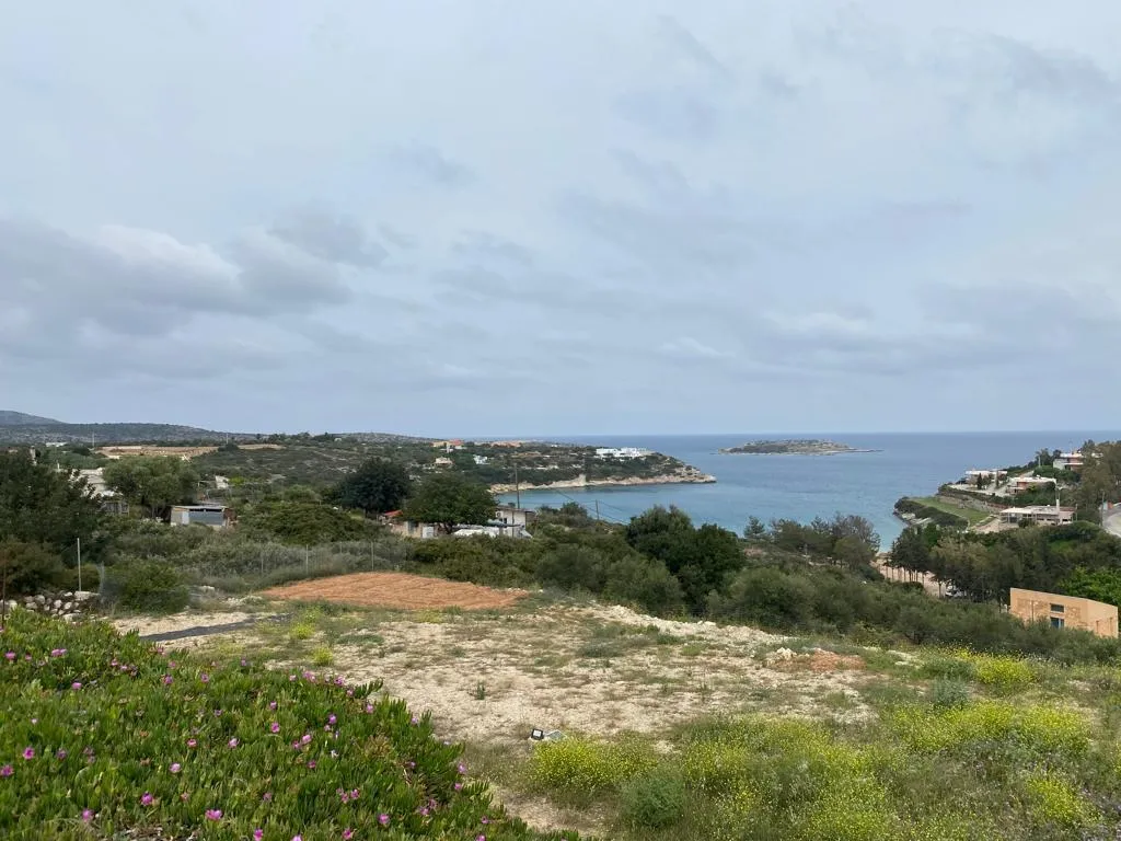 οικόπεδο προς πώληση 11799 τ.μ Χανιά Νομός Χανίων