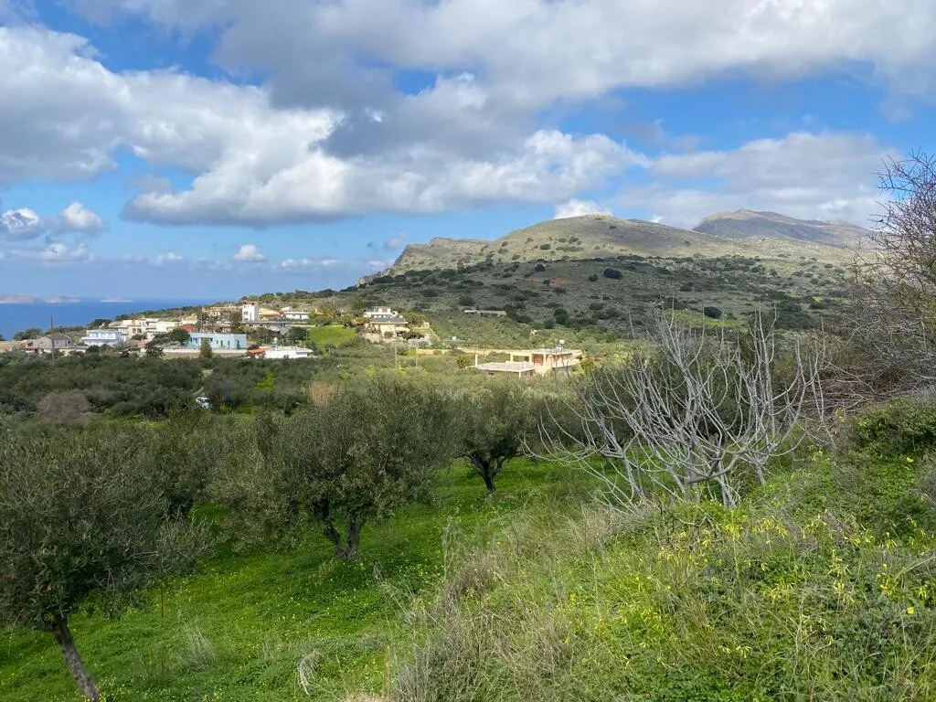οικόπεδο προς πώληση 2140 τ.μ Κολυμβάρι Νομός Χανίων