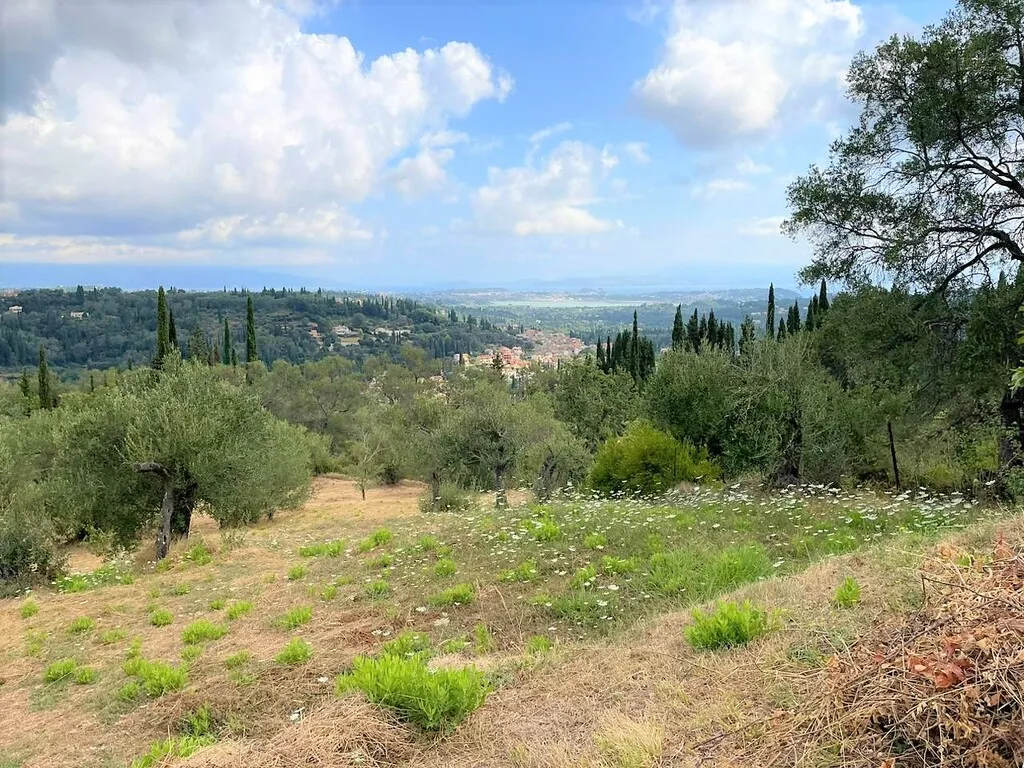οικόπεδο προς πώληση 2120 τ.μ Κέρκυρα Νομός Κέρκυρας