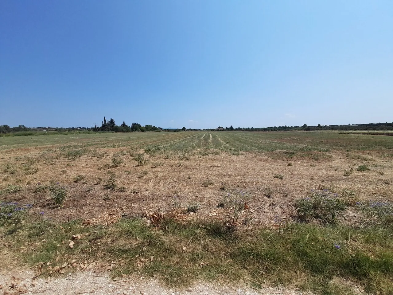 οικόπεδο προς πώληση 11100 τ.μ Θερμαϊκός Προάστια Θεσσαλονίκης