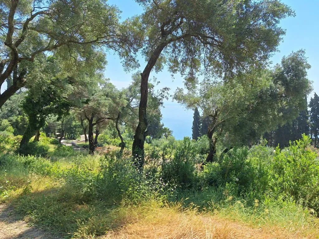 οικόπεδο προς πώληση 2774 τ.μ Κέρκυρα Νομός Κέρκυρας