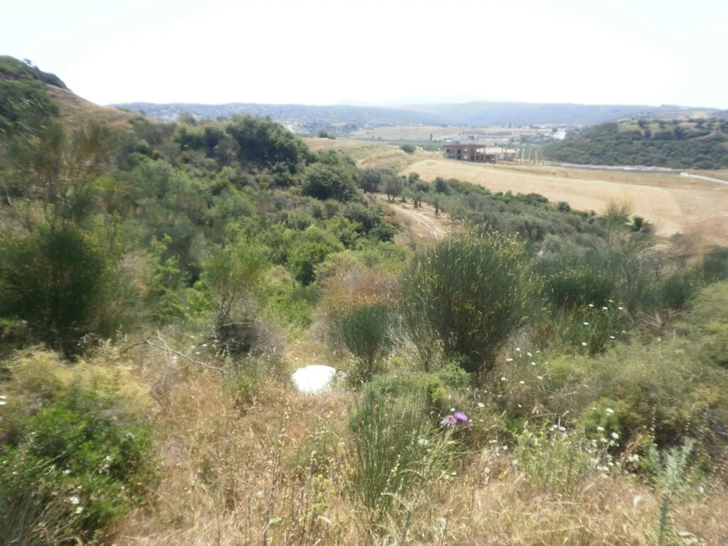οικόπεδο προς πώληση 4188 τ.μ Σιθωνία Χαλκιδική