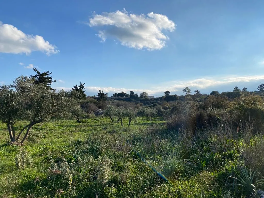 οικόπεδο προς πώληση 6500 τ.μ Βάμος Νομός Χανίων