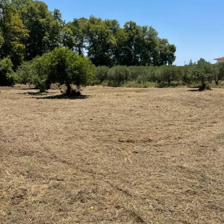 οικόπεδο προς πώληση 1800 τ.μ Σιθωνία Χαλκιδική