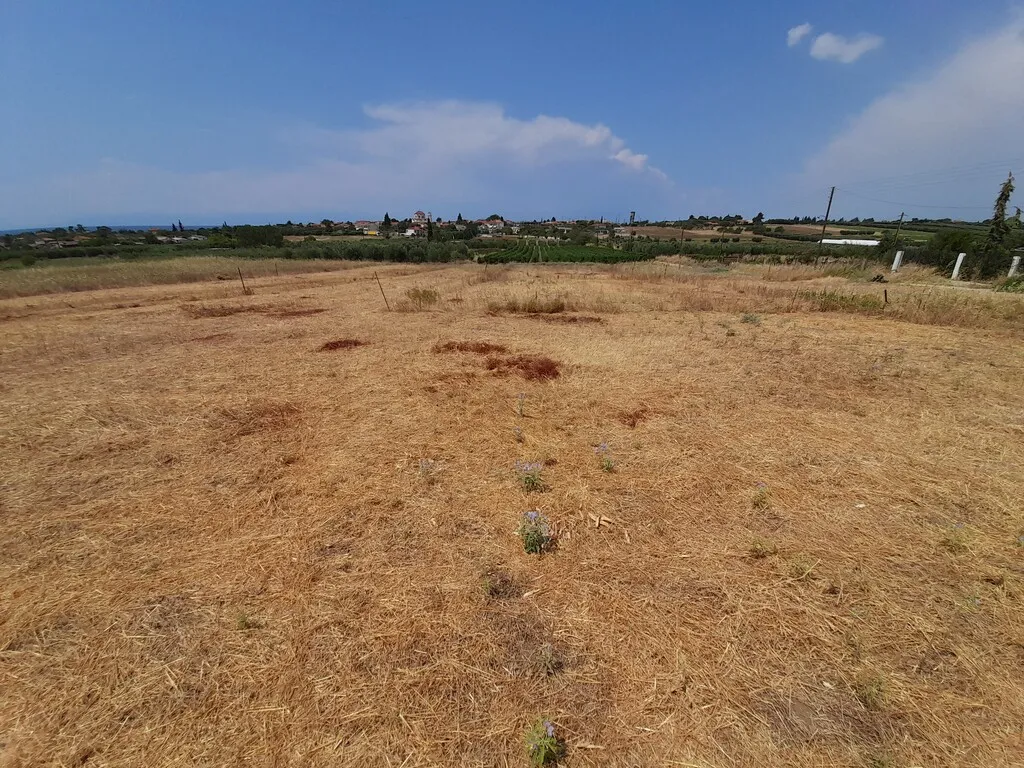 οικόπεδο προς πώληση 348 τ.μ Νέα Προποντίδα Χαλκιδική