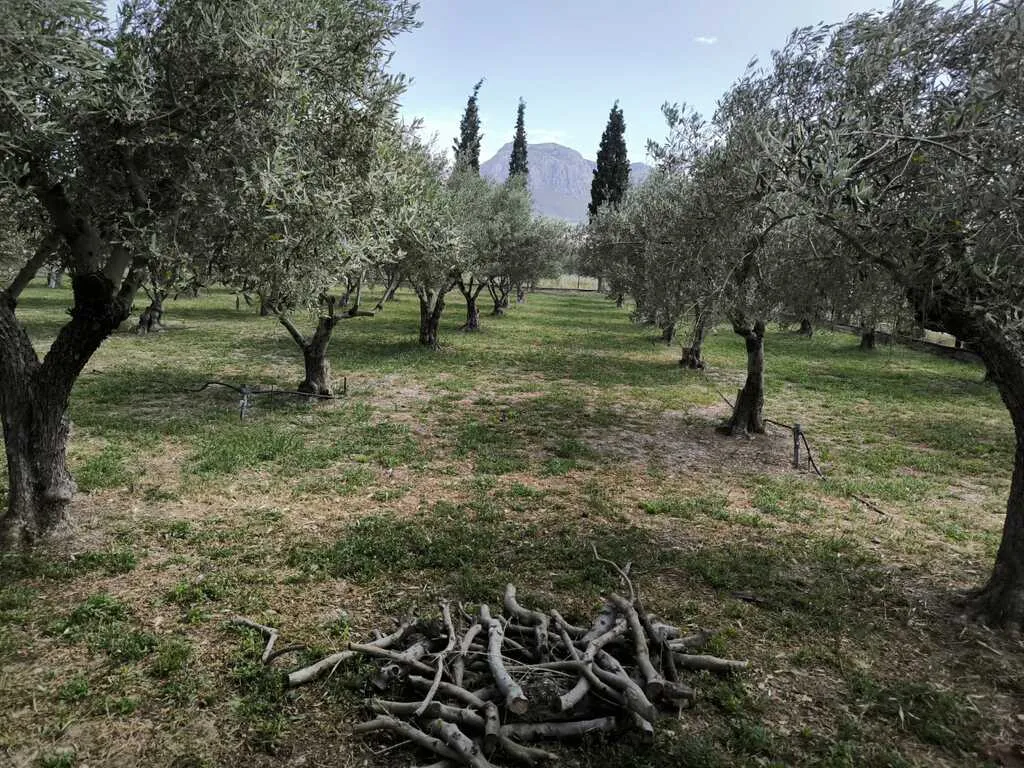1024