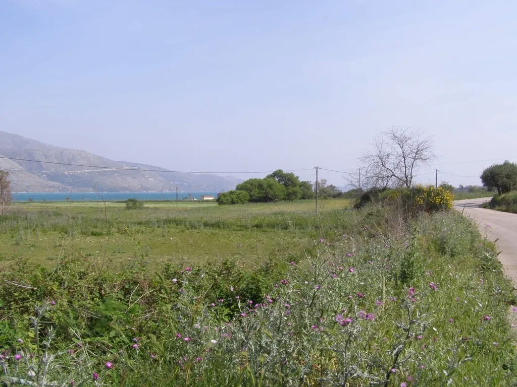 οικόπεδο προς πώληση 14000 τ.μ Σιπιάδα Μαγνησία