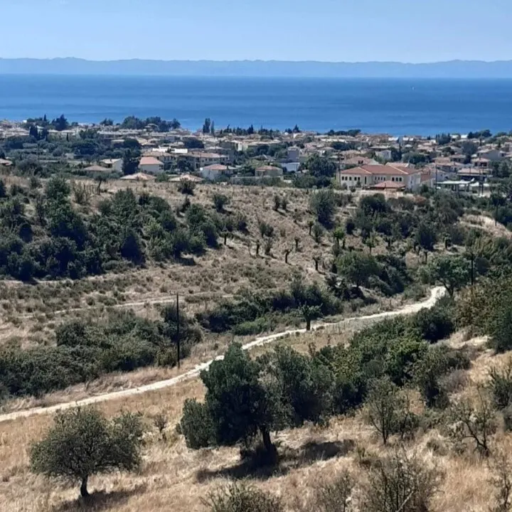 οικόπεδο προς πώληση 2233 τ.μ Σιθωνία Χαλκιδική