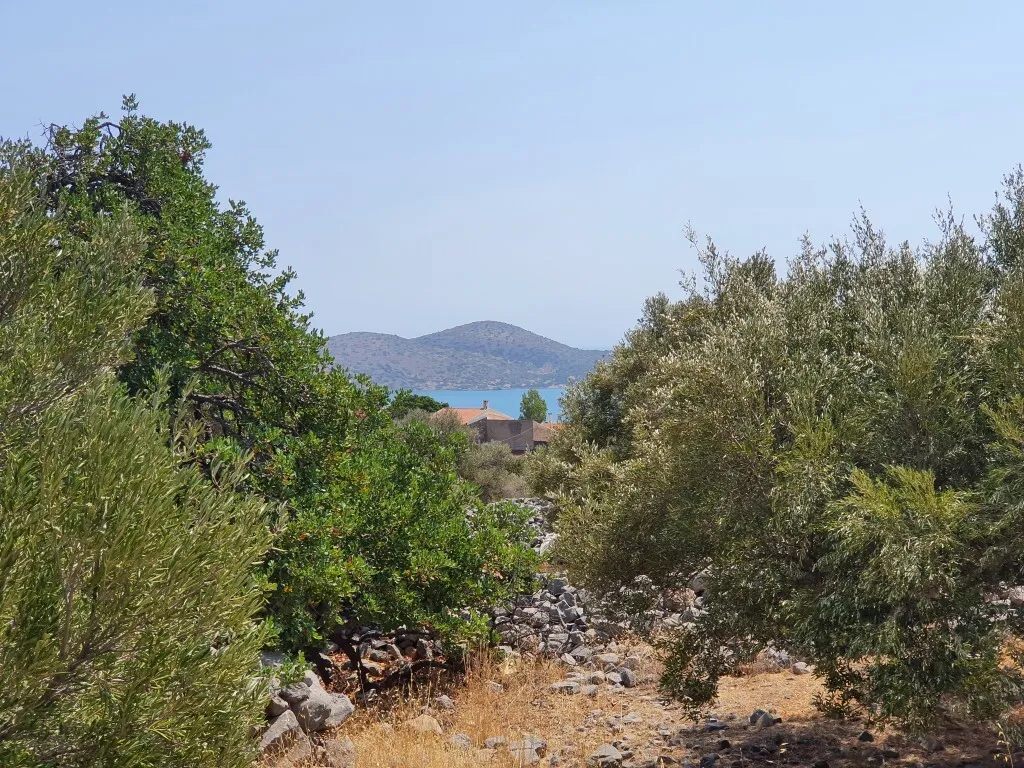 οικόπεδο προς πώληση 2500 τ.μ Ελούντα Νομός Λασιθίου