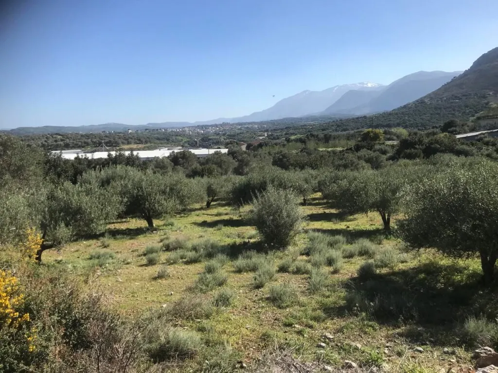 οικόπεδο προς πώληση 12400 τ.μ Τύλισος Νομός Ηρακλείου