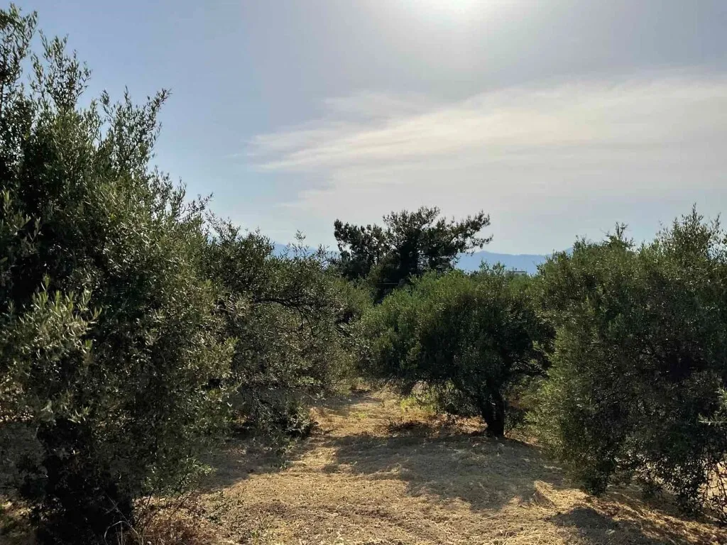 οικόπεδο προς πώληση 1358 τ.μ Ηράκλειο Κρήτης Νομός Ηρακλείου