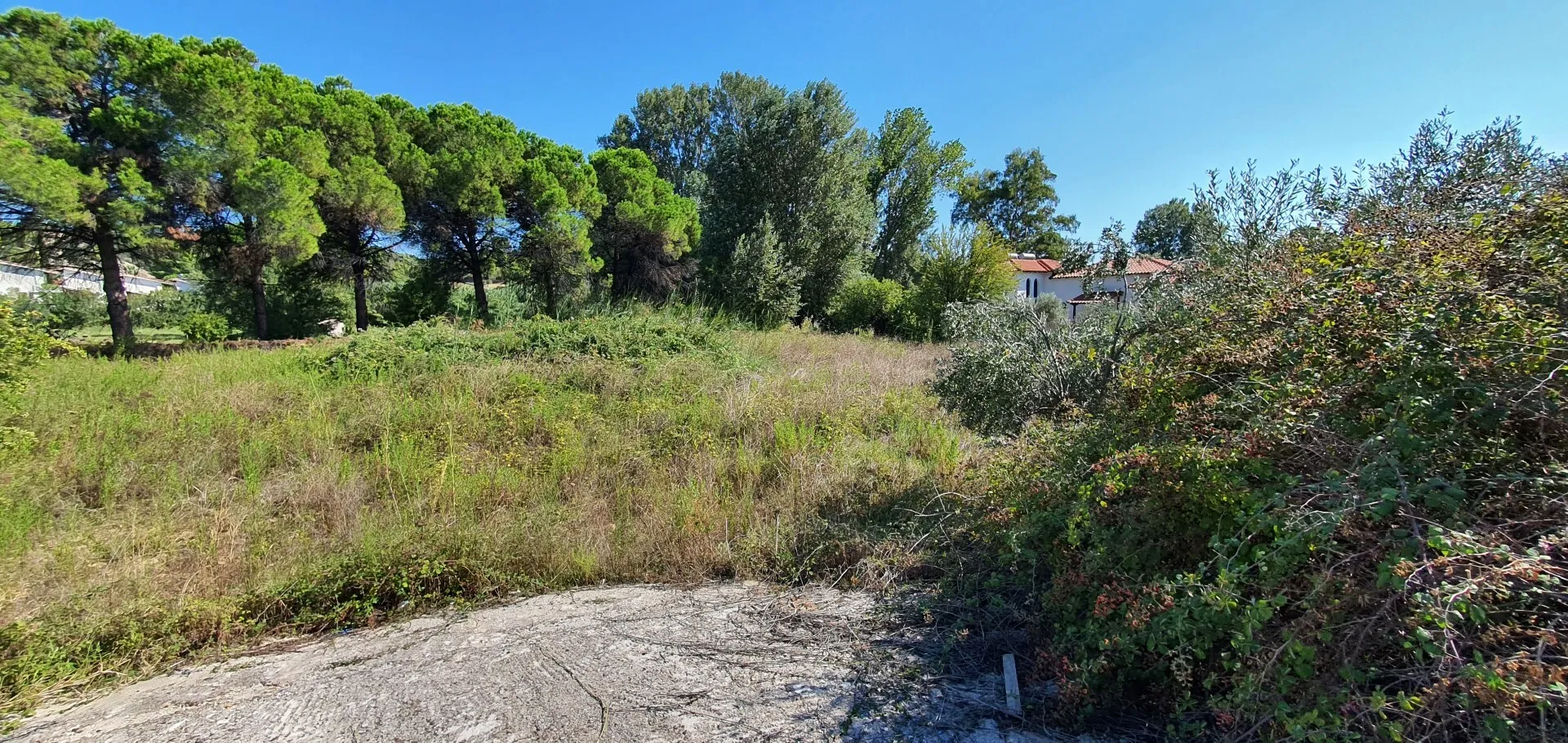 οικόπεδο προς πώληση 2000 τ.μ Σιθωνία Χαλκιδική