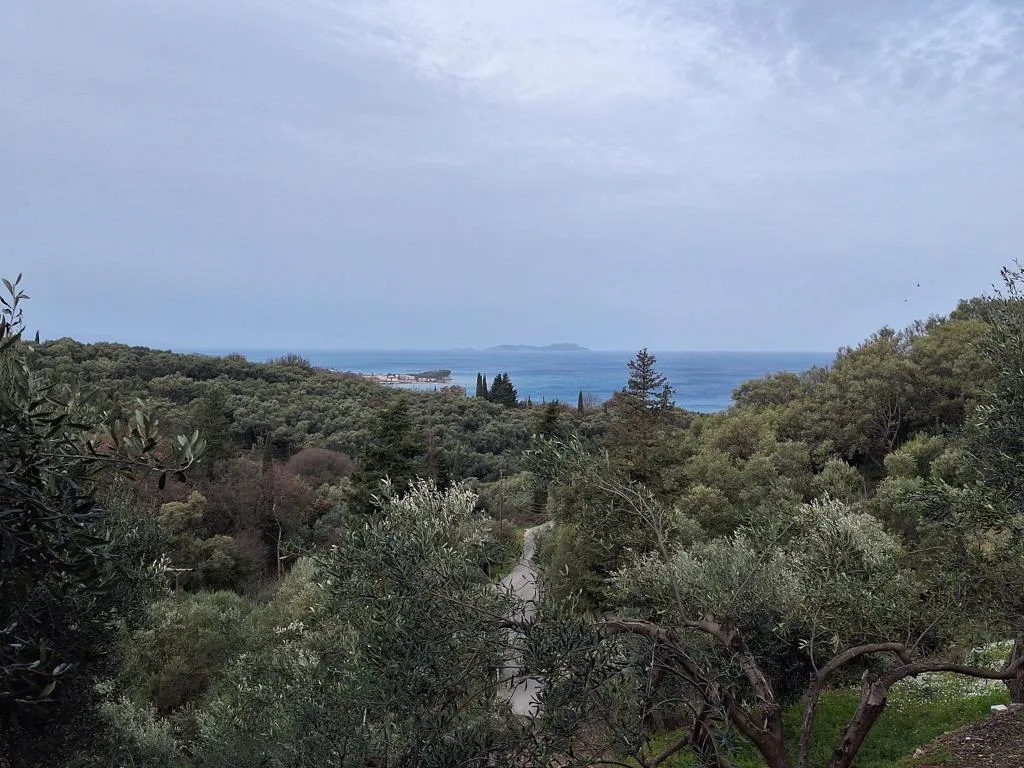 οικόπεδο προς πώληση 708 τ.μ Κέρκυρα Νομός Κέρκυρας