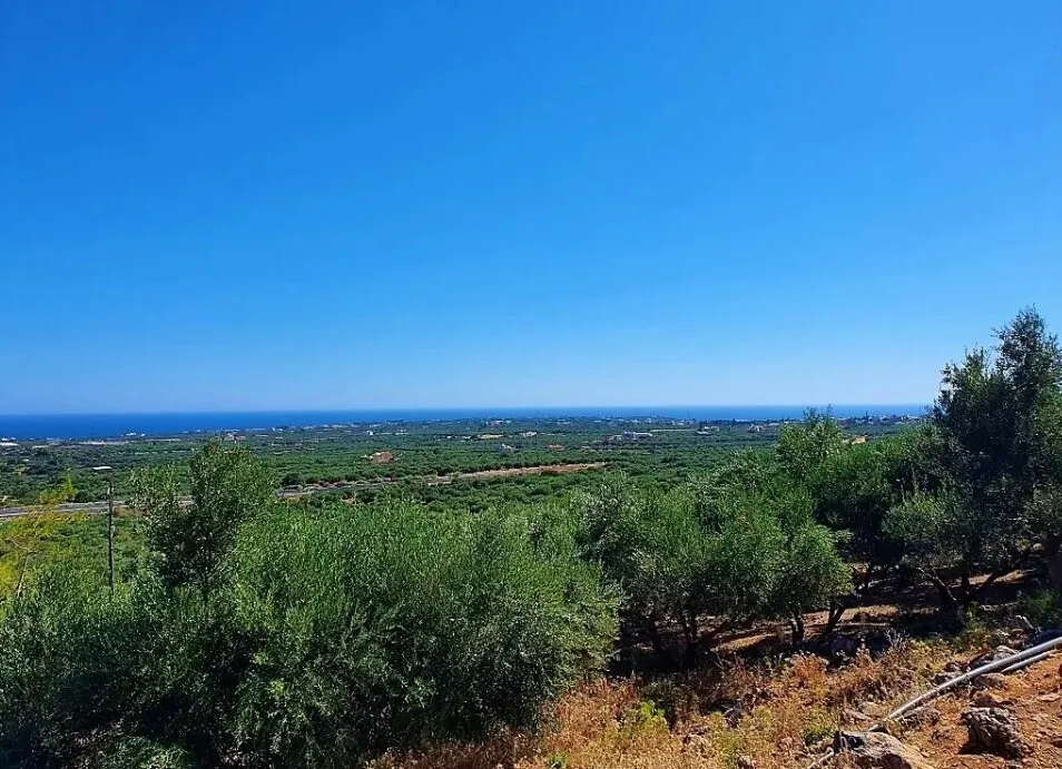 οικόπεδο προς πώληση 8146 τ.μ Χερσόνησος Νομός Ηρακλείου
