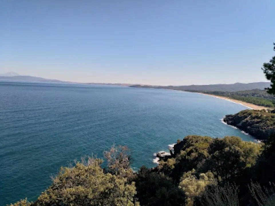 οικόπεδο προς πώληση 6005 τ.μ Αριστοτέλης Χαλκιδική