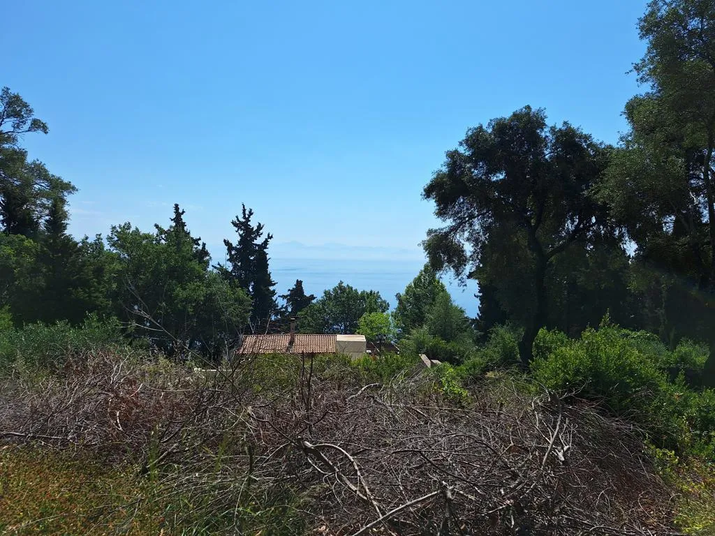 οικόπεδο προς πώληση 2674 τ.μ Κέρκυρα Νομός Κέρκυρας