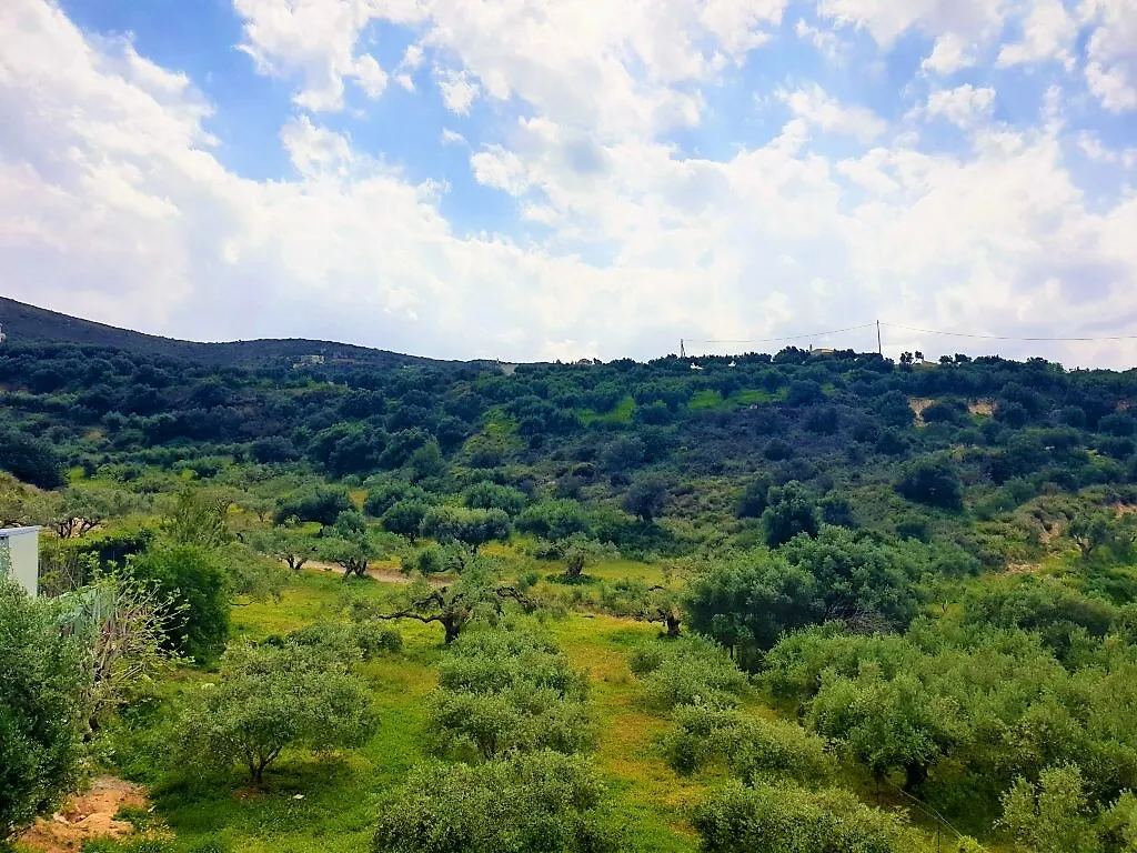 οικόπεδο προς πώληση 1500 τ.μ Γούβες Νομός Ηρακλείου