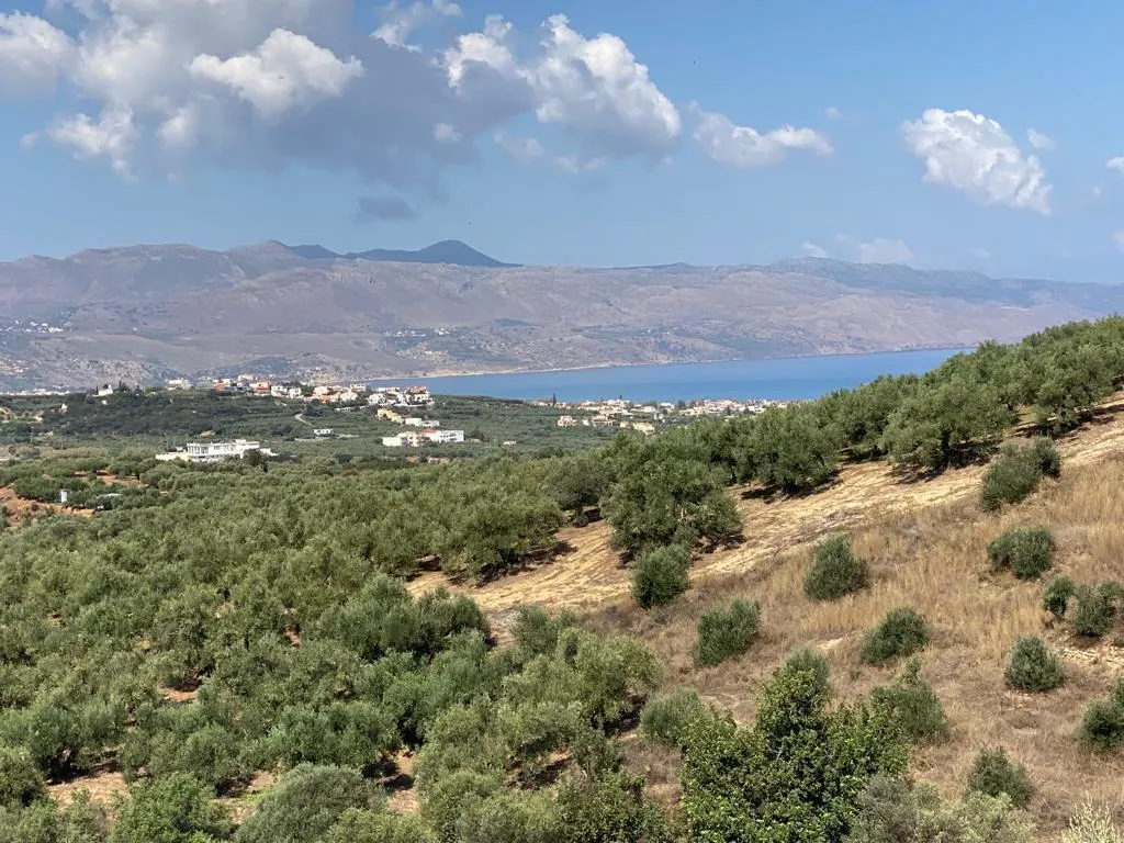 οικόπεδο προς πώληση 3732 τ.μ Πλατανιάς Νομός Χανίων
