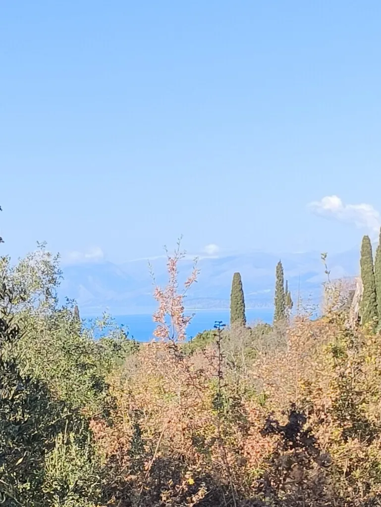 οικόπεδο προς πώληση 5015 τ.μ Κέρκυρα Νομός Κέρκυρας